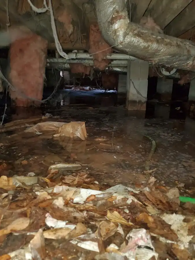 Crawl space flood assessment for Commercial Water Damage Restoration in Wheaton