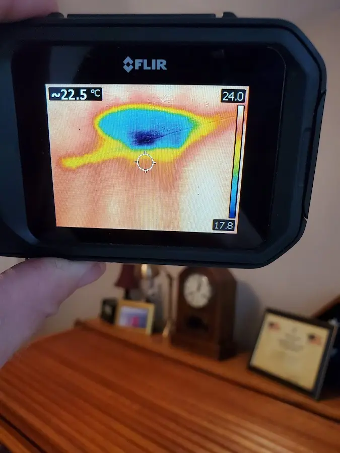 Thermal imaging inspection for water damage in Wheaton